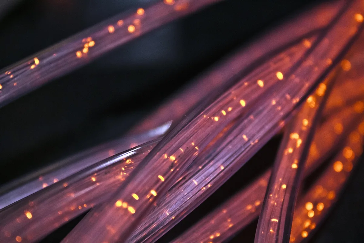 Vernosa Fibre : la matière locale qui réinvente l&rsquo;isolation